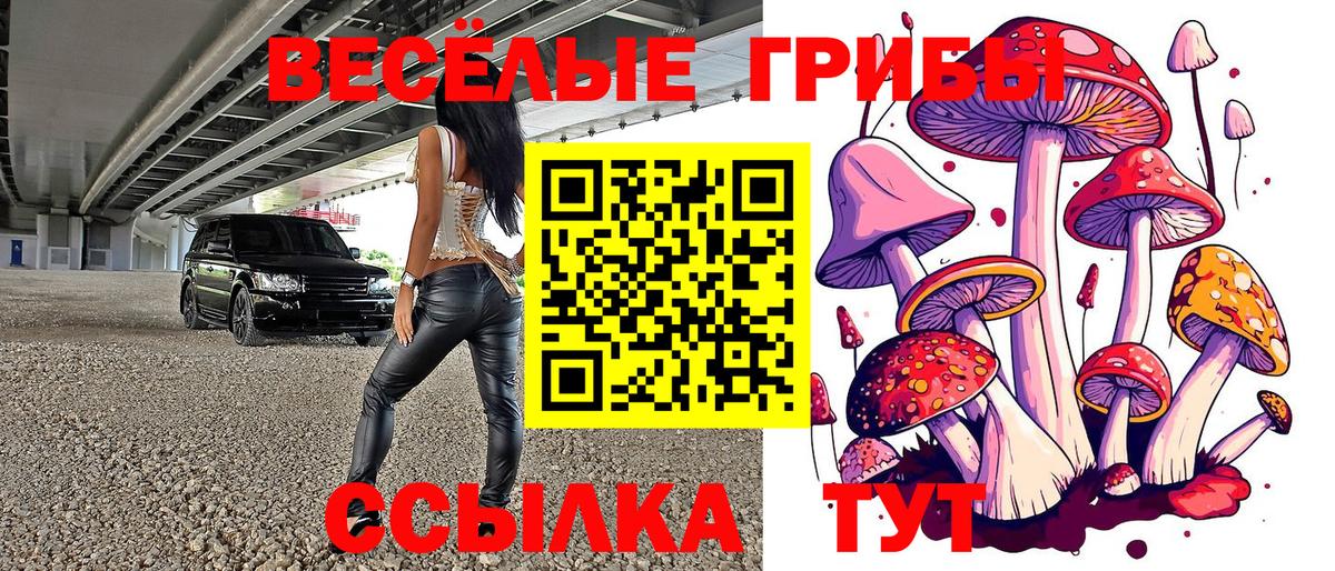 Галлюциногенные грибы Psilocybine cubensis  Вход с VPN  Галлюциногенные грибы ЛСД  цены   Стерлитамак 